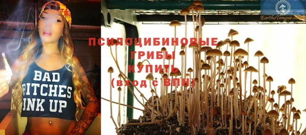 мескалин Бронницы